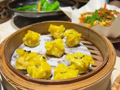 -点都德·毕德寮