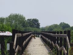 -西青郊野公园