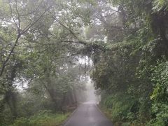 景点-大蜀山国家森林公园