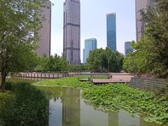 -大望京公园