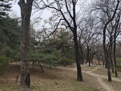 -元大都城垣遗址公园