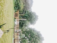 -三圣花乡旅游区