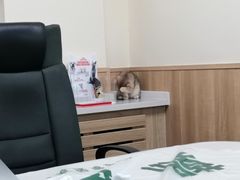 -瑞派宠物医院·24h·骨外科·皮肤科·全科宠物医疗转诊中心(沈阳浑南院)