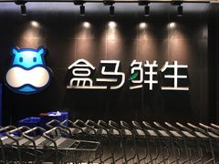 门面-盒马鲜生(曜一城店)
