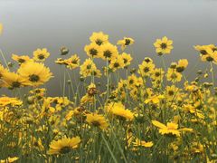 -洪湖家庭农场·团建·露营·会议