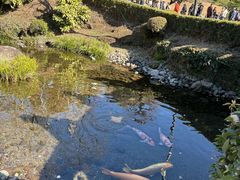 -水前寺成趣园