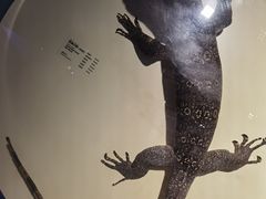 -中国（海南）南海博物馆
