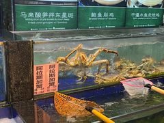 -勝記酒家·37年老字号·经典粤菜(荔枝公园店)