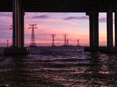 -宝安西湾红树林湿地公园