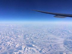 -约翰·菲茨杰拉德·肯尼迪国际机场