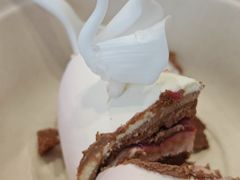 -BLACKSWAN黑天鹅(环球店)