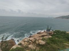 -广东惠东海龟国家级自然保护区