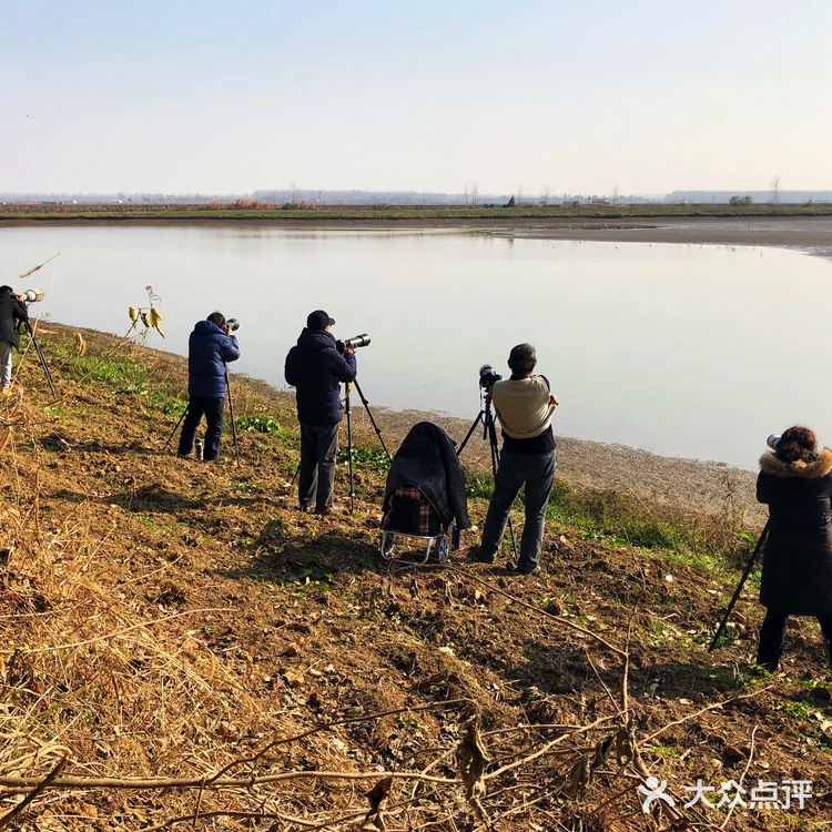 武汉小众景点沉湖湿地公园一日游攻略