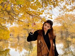 -金塔沙漠胡杨林景区