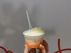 -Dip in Gelato(富民路店)