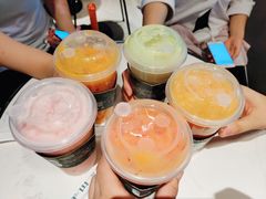 -野萃山·潮汕厚果汁(十亩地店)
