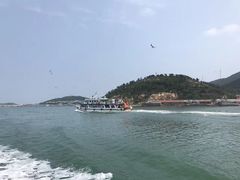 -长岛万鸟岛