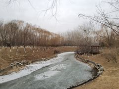 -大兴滨河森林公园