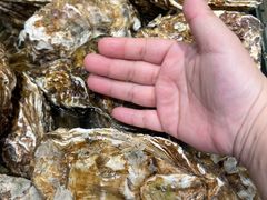 -苏大嘴蒸汽海鲜·海胆蒸饺(中山广场店)