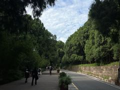 -七曲山风景区