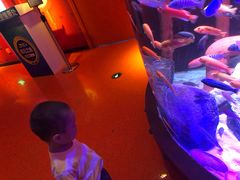 -沈阳海洋探索中心