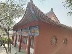 -桃花堤公园