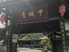 -青城甲(青城山店)