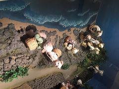 泰迪熊博物馆-济州岛泰迪熊博物馆