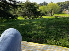 -上海共青森林公园