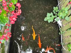 -老洋房花园饭店(绍兴路店)