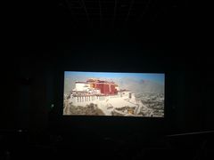 -博纳国际影城IMAX(中央大道店)
