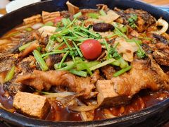 -老板恋上鱼(恒隆广场店)