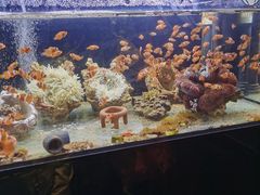 -瑞虹新天地月亮湾