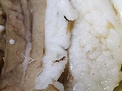 -武圣羊汤·西北面(安德路店)