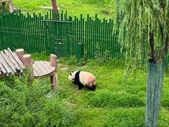 -沈阳森林动物园