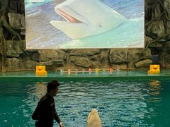 -威海华夏城景区