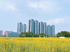 -光明小镇欢乐田园