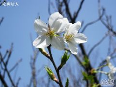 -华山儿童公园
