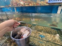 -仙螺岛海鲜自助餐厅(总店)