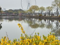 -无锡蠡湖国家湿地公园-蠡园