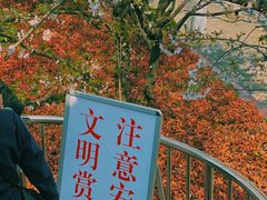 -南浦大桥长途旅游客运站