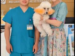 -美联众合动物医院·24h京西诊疗中心