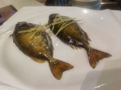 -青蓬蒸汽海鲜·深圳老字号·团建聚会(壹方城店)