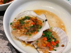银丝蒸扇贝皇-蔡阿水羊肉店