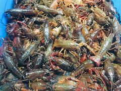 -盒马鲜生(新都心店)