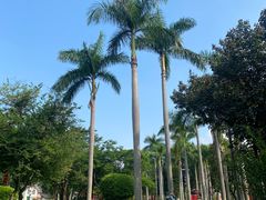 -广州雕塑公园