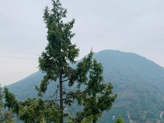 -午潮山国家森林公园