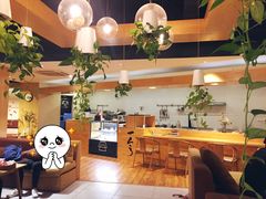 大堂-柴务处·柴犬主题狗咖