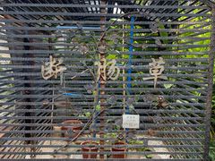 -广州神农草堂中医药博物馆