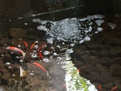 -姚江春中餐厅·太平洋大酒店